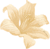 imerspa